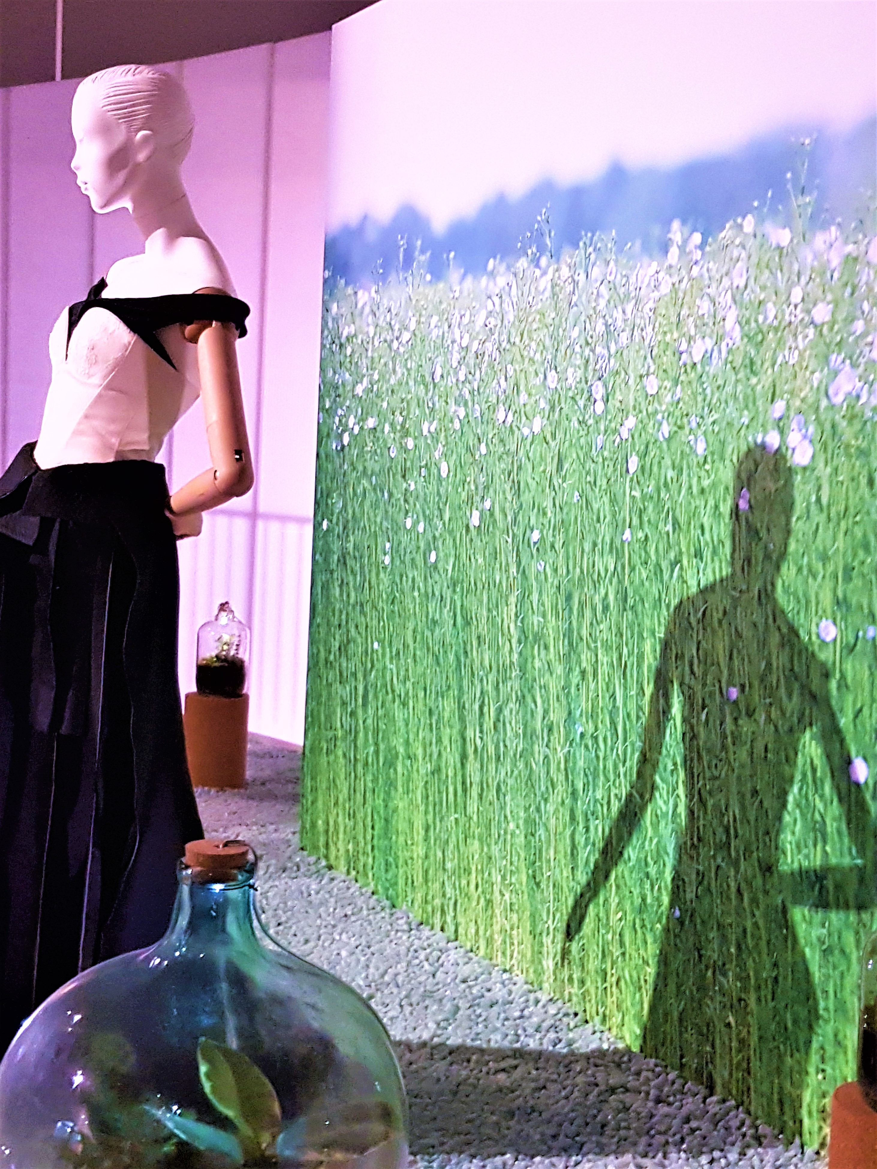 Fashioned From Nature